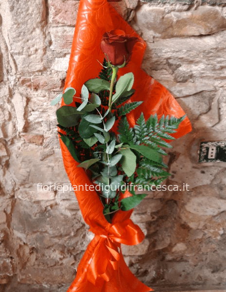 Rosa singola confezionata