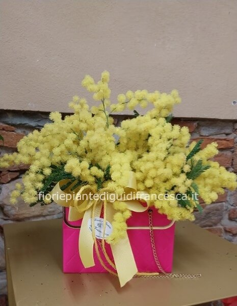 Borsina rosa o con mimosa